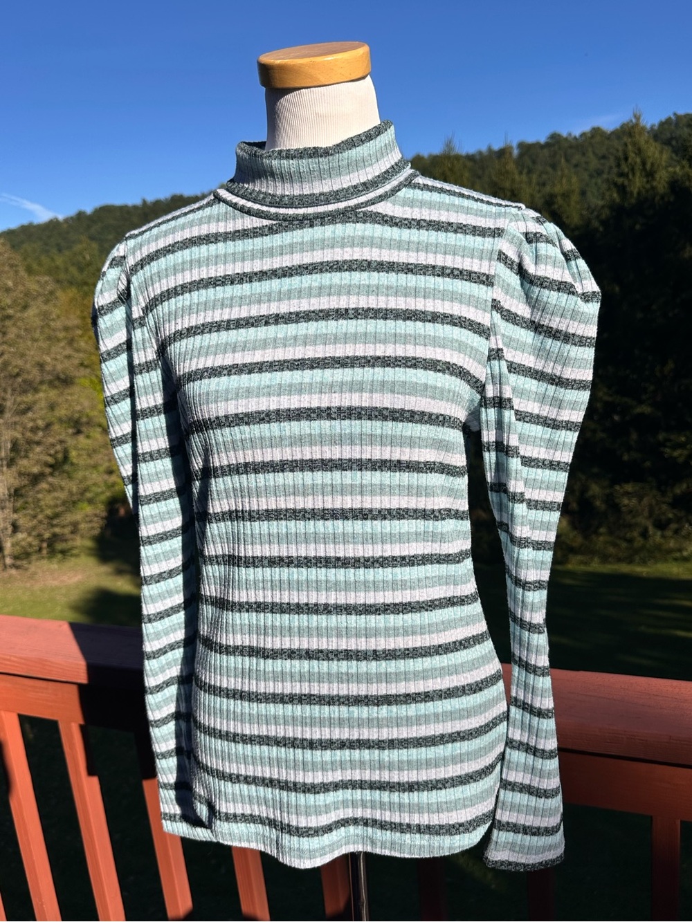 Maeve Anthropologie Blue & White Striped Turtleneck Long Sleeve